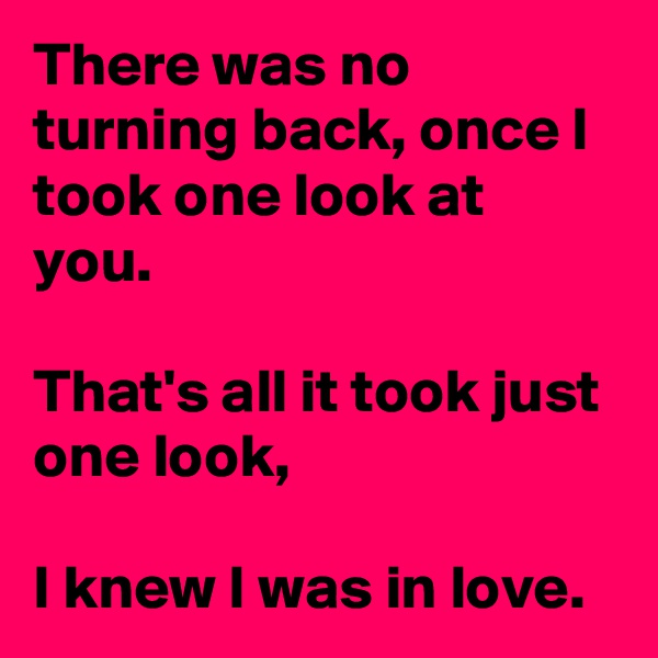 There was no turning back, once I took one look at you.

That's all it took just one look,

I knew I was in love.