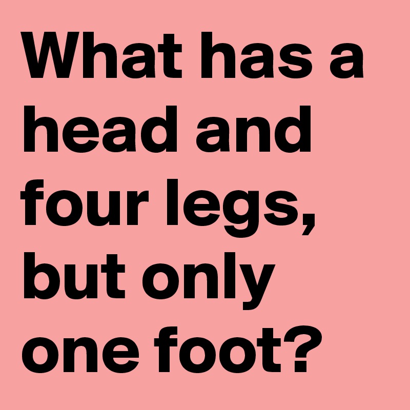 What has a head and four legs, but only one foot?