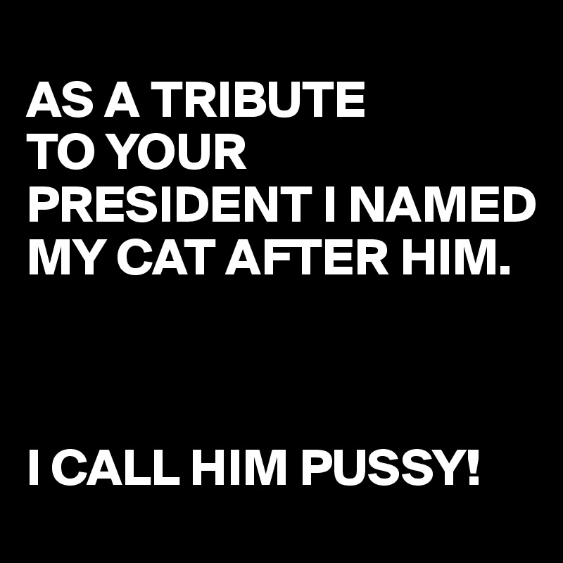 
AS A TRIBUTE
TO YOUR PRESIDENT I NAMED MY CAT AFTER HIM.



I CALL HIM PUSSY!