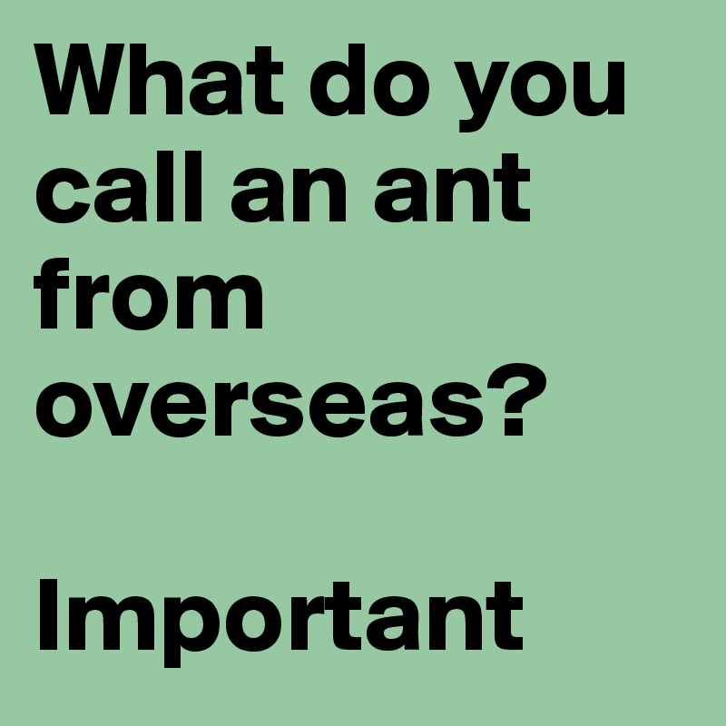 What do you call an ant from overseas?

Important