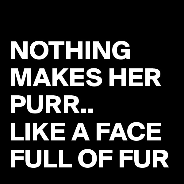 
NOTHING MAKES HER PURR..
LIKE A FACE FULL OF FUR 