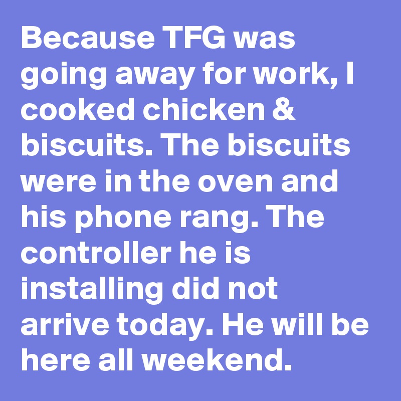 Because TFG was going away for work, I cooked chicken & biscuits. The biscuits were in the oven and his phone rang. The controller he is installing did not arrive today. He will be here all weekend.
