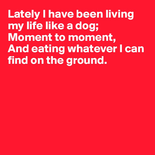 Lately I have been living my life like a dog;
Moment to moment,
And eating whatever I can 
find on the ground.






