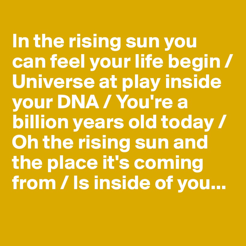 
In the rising sun you can feel your life begin / Universe at play inside your DNA / You're a billion years old today / Oh the rising sun and the place it's coming from / Is inside of you...
