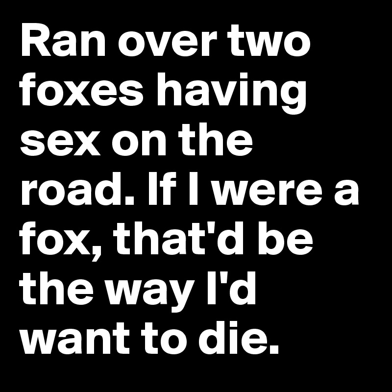 Ran over two foxes having sex on the road. If I were a fox, that'd be the way I'd want to die.