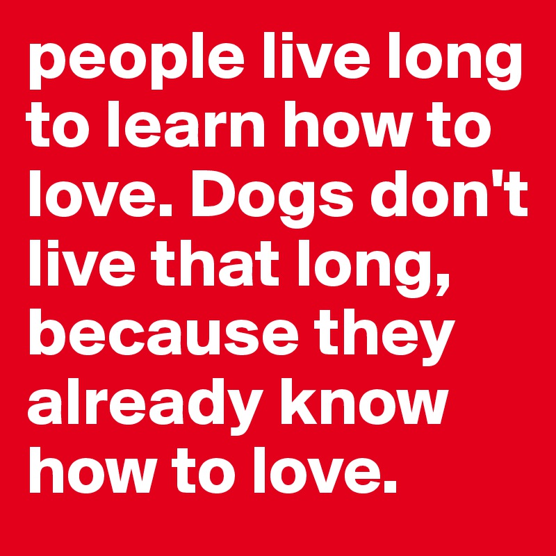 people live long to learn how to love. Dogs don't live that long, because they already know how to love.