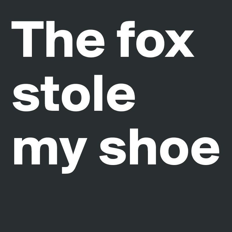 The fox stole my shoe