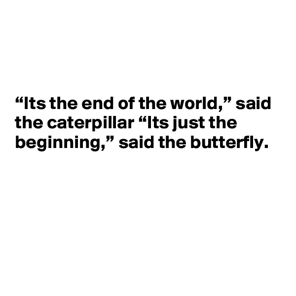 



“Its the end of the world,” said the caterpillar “Its just the beginning,” said the butterfly. 





 