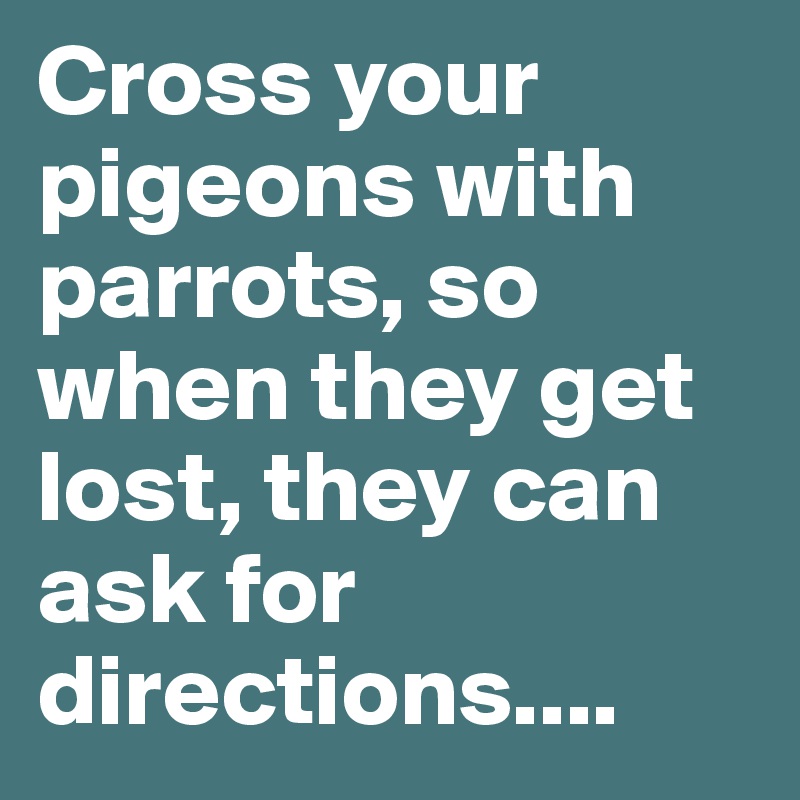 Cross your pigeons with parrots, so when they get lost, they can ask for directions....