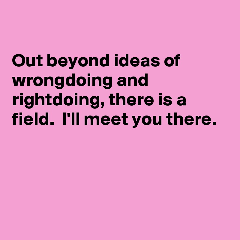 out-beyond-ideas-of-wrongdoing-and-rightdoing-there-is-a-field-i-ll