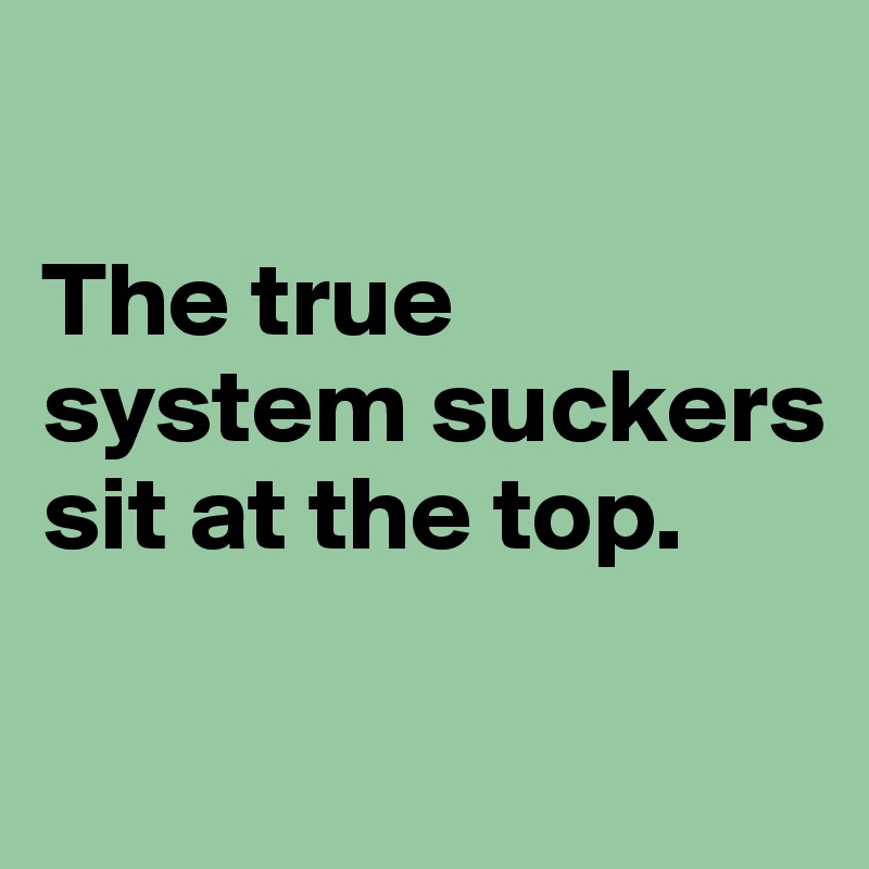 

The true system suckers sit at the top.

