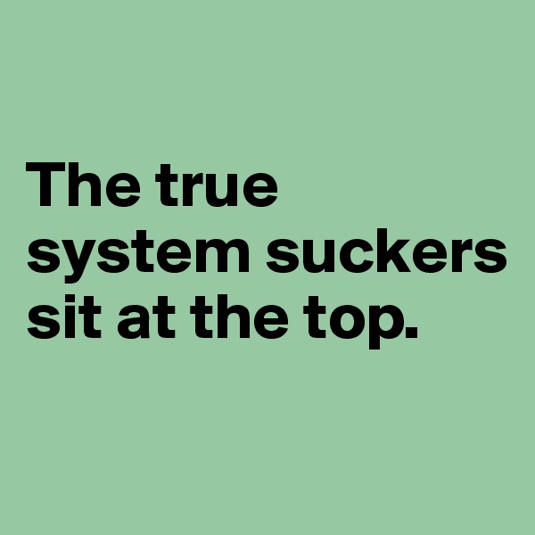 

The true system suckers sit at the top.

