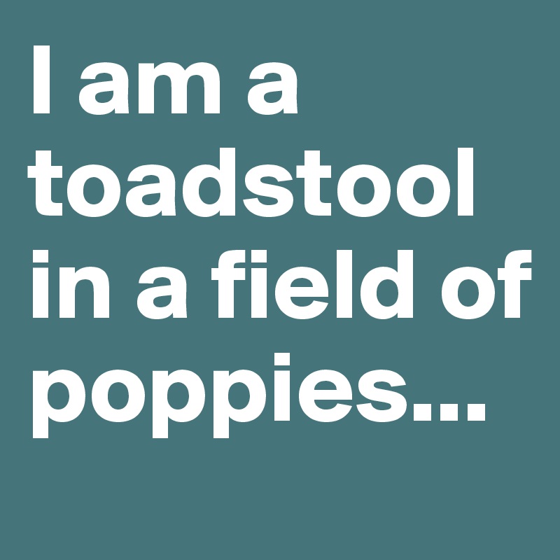 I am a toadstool in a field of poppies...