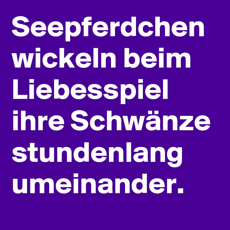 Seepferdchen wickeln beim Liebesspiel ihre Schwänze stundenlang umeinander.