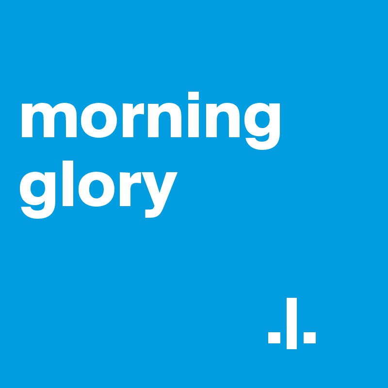                                morning glory
                   
                  .|.