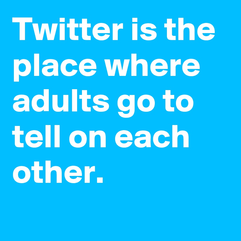 Twitter is the place where adults go to tell on each other.