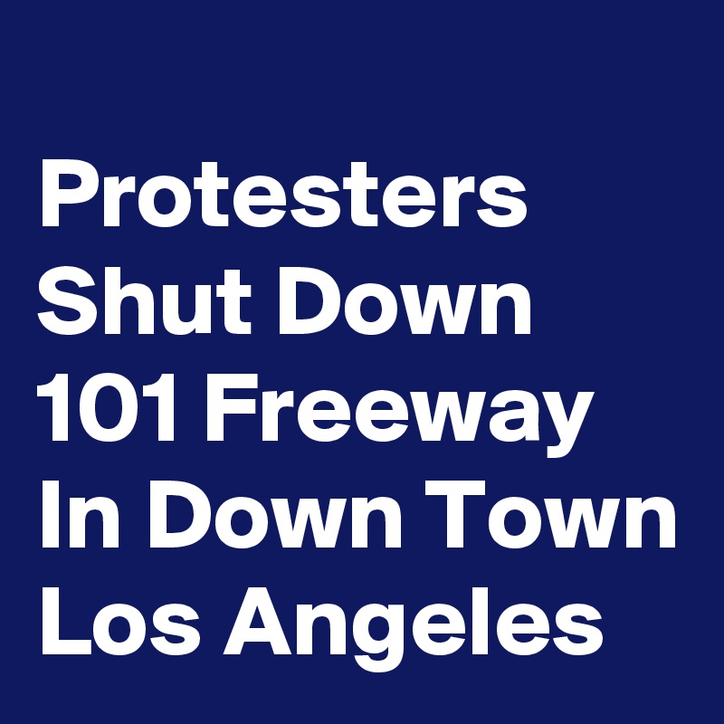 
Protesters Shut Down 101 Freeway In Down Town Los Angeles