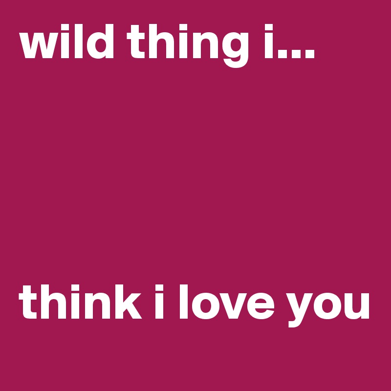 wild thing i... 




think i love you