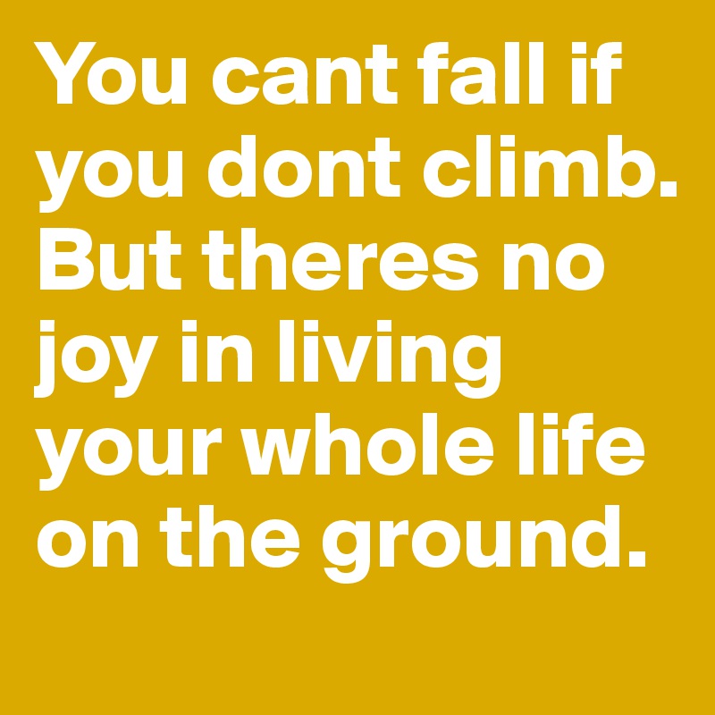 You cant fall if you dont climb.  But theres no joy in living your whole life on the ground.