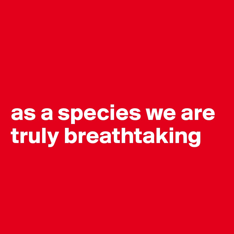 



as a species we are truly breathtaking


