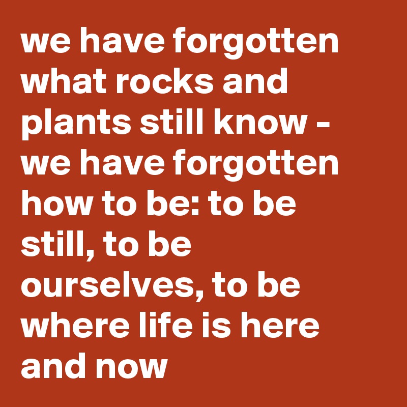 we have forgotten what rocks and plants still know - we have forgotten how to be: to be still, to be ourselves, to be where life is here and now