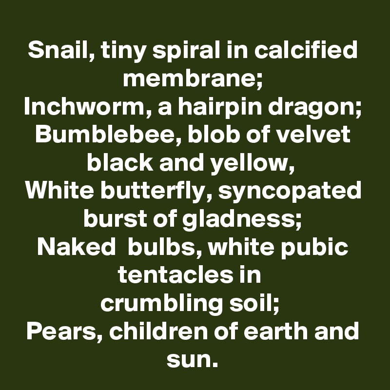 Snail, tiny spiral in calcified membrane;
Inchworm, a hairpin dragon;
Bumblebee, blob of velvet black and yellow, 
White butterfly, syncopated burst of gladness;
Naked  bulbs, white pubic tentacles in 
crumbling soil; 
Pears, children of earth and sun.