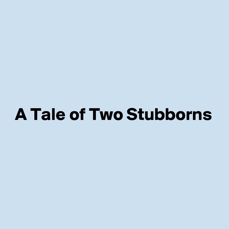 




 A Tale of Two Stubborns



