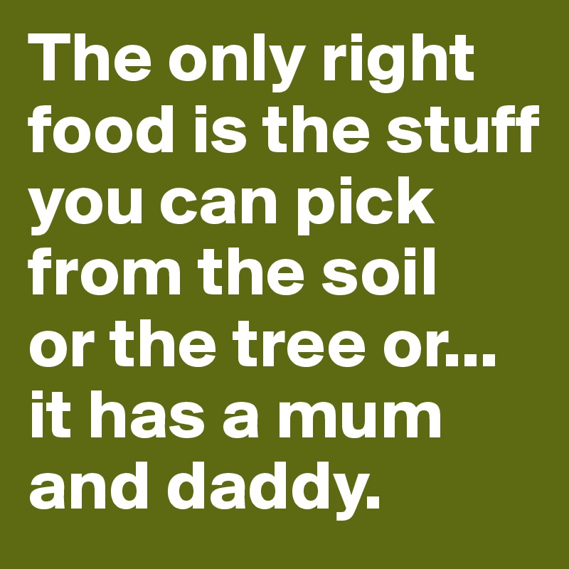 The only right food is the stuff you can pick from the soil 
or the tree or...
it has a mum and daddy.
