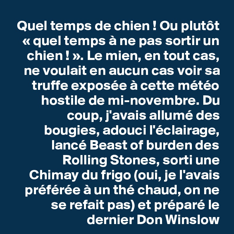 Quel temps de chien ! Ou plutôt « quel temps à ne pas sortir un chien ! ». Le mien, en tout cas, ne voulait en aucun cas voir sa truffe exposée à cette météo hostile de mi-novembre. Du coup, j'avais allumé des bougies, adouci l'éclairage, lancé Beast of burden des Rolling Stones, sorti une Chimay du frigo (oui, je l'avais préférée à un thé chaud, on ne se refait pas) et préparé le dernier Don Winslow