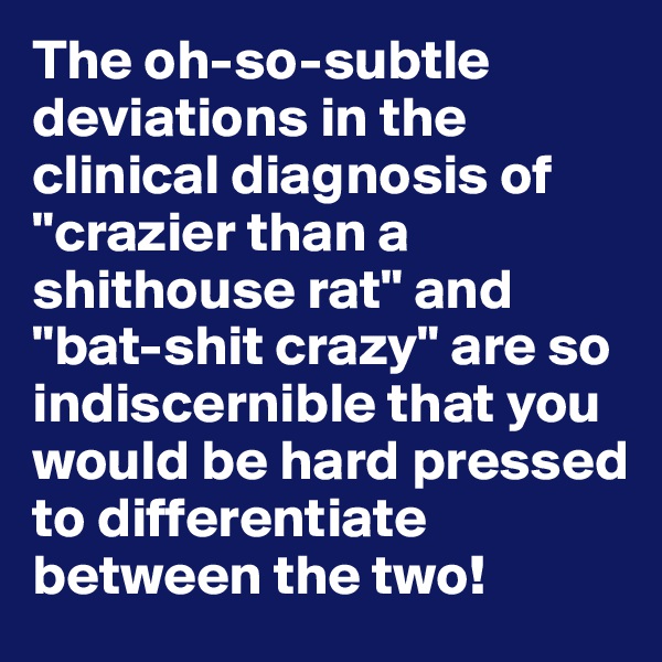 The oh-so-subtle deviations in the clinical diagnosis of "crazier than a shithouse rat" and "bat-shit crazy" are so indiscernible that you would be hard pressed to differentiate between the two!
