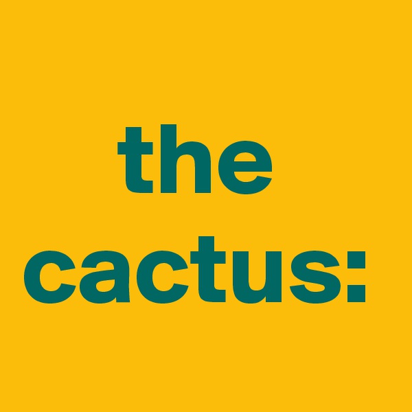 the cactus: