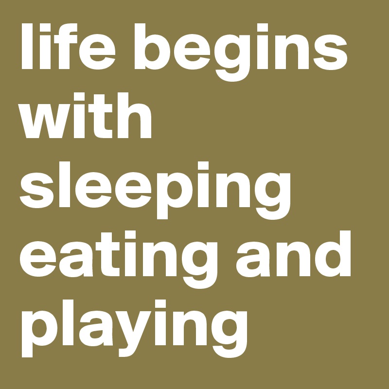 life begins with sleeping eating and playing