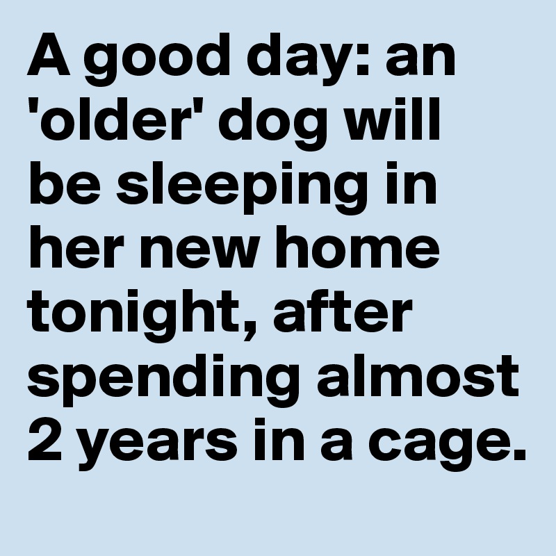 A good day: an 'older' dog will be sleeping in her new home tonight, after spending almost 2 years in a cage.