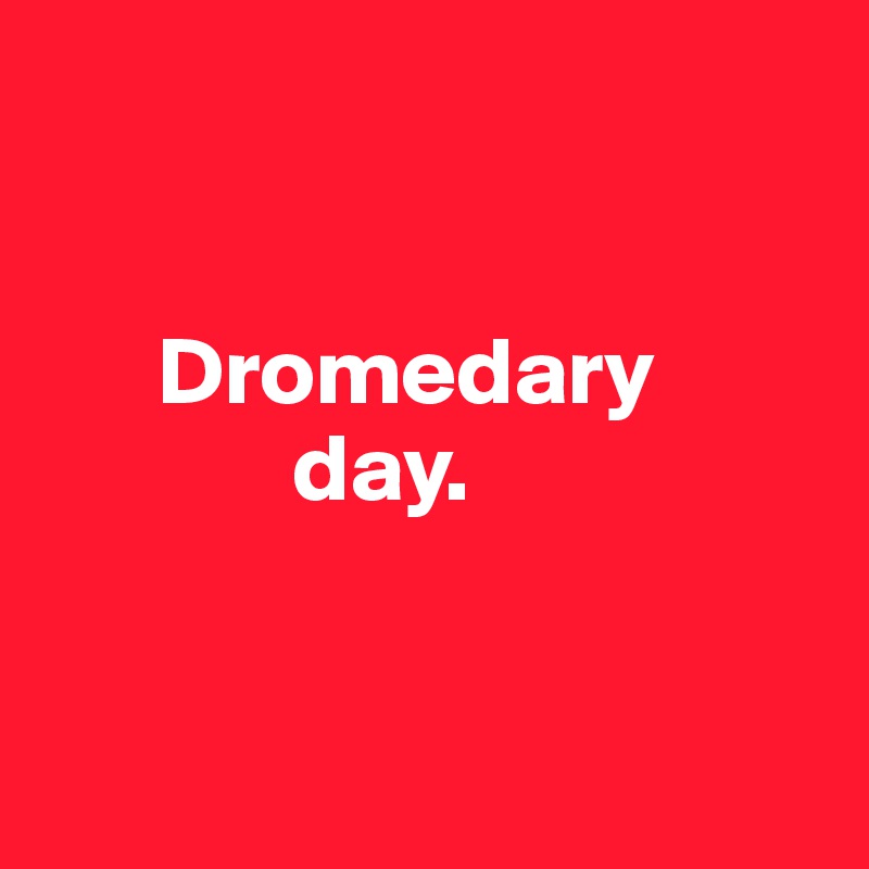 


      Dromedary
             day. 


