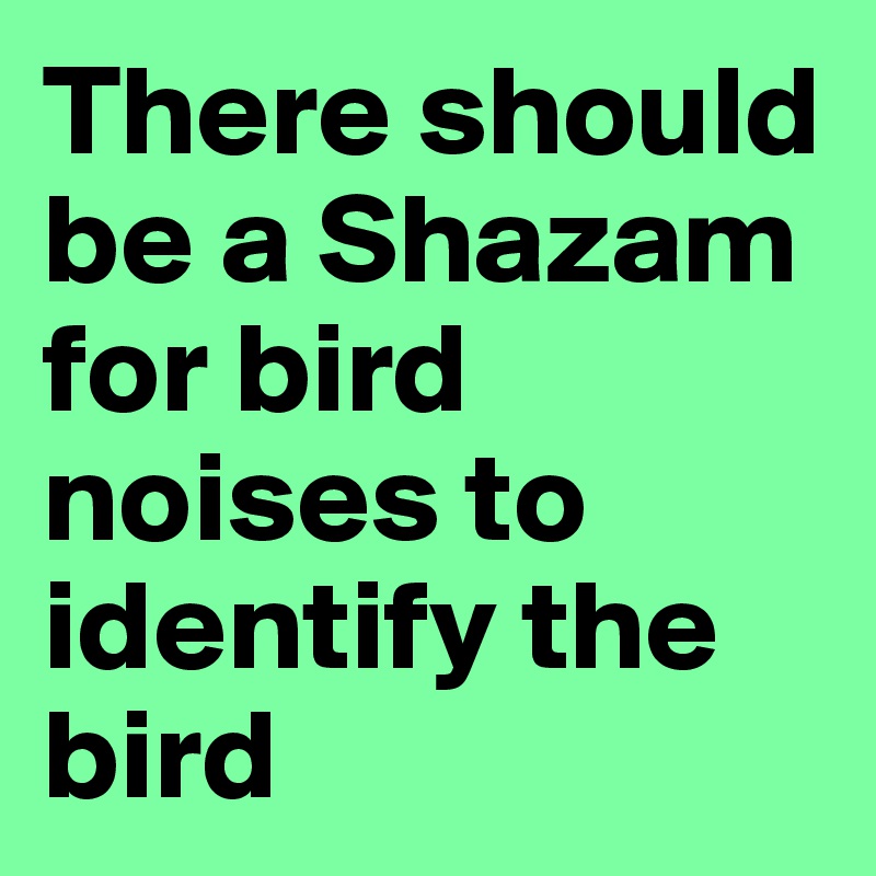 There should be a Shazam for bird noises to identify the bird