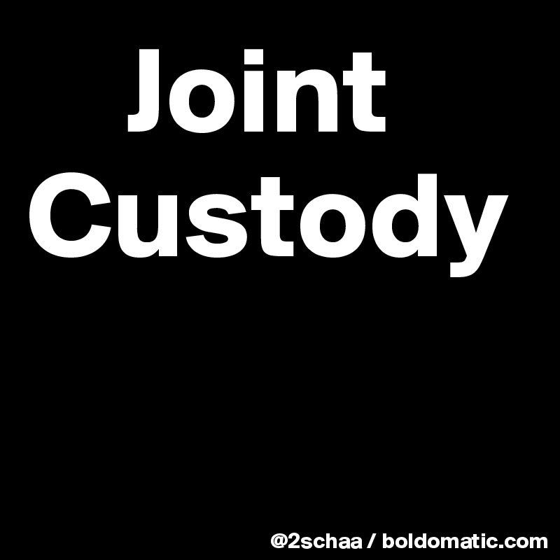     Joint
Custody

