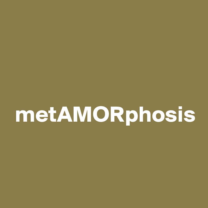 



 metAMORphosis


