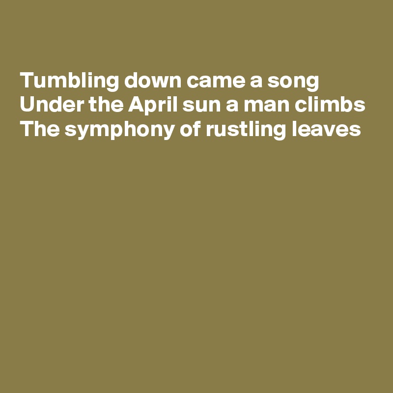 

Tumbling down came a song
Under the April sun a man climbs
The symphony of rustling leaves






