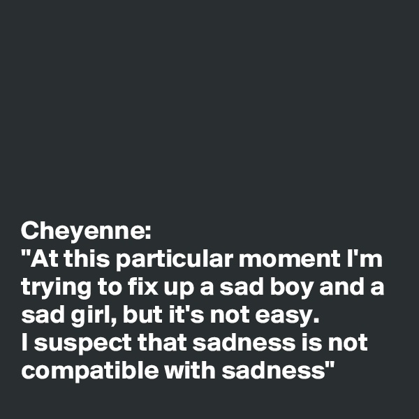






Cheyenne: 
"At this particular moment I'm trying to fix up a sad boy and a sad girl, but it's not easy. 
I suspect that sadness is not compatible with sadness"