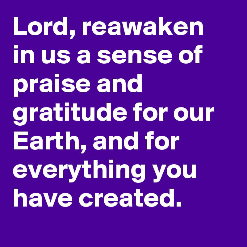 Lord, reawaken in us a sense of praise and gratitude for our Earth, and for everything you have created.