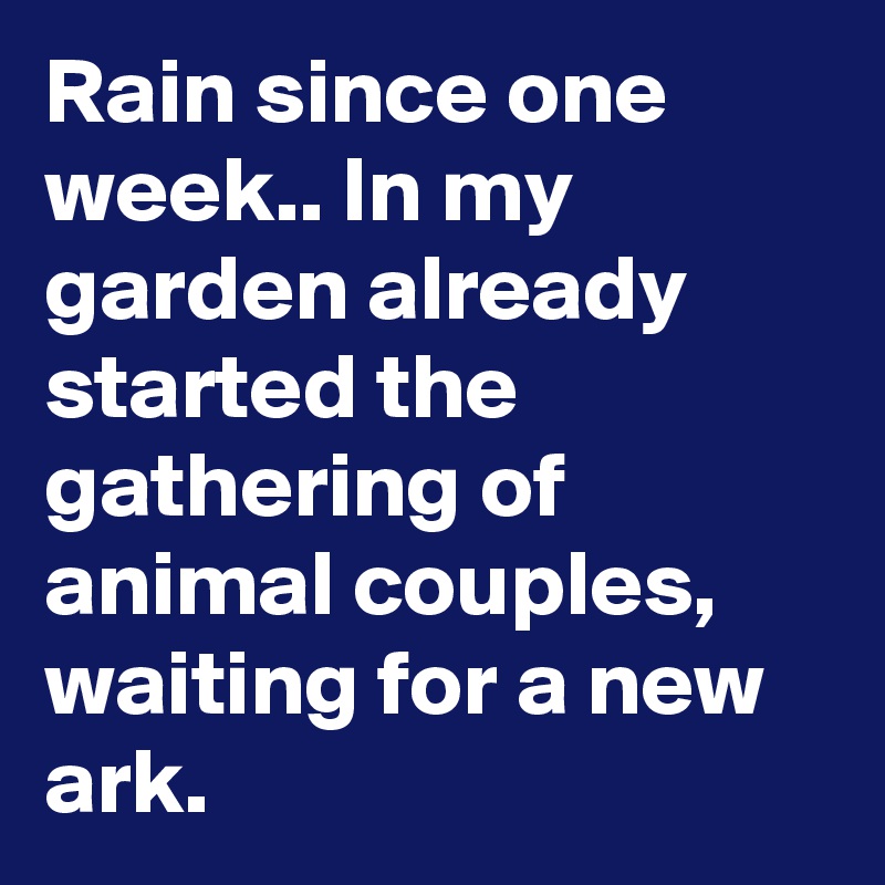 Rain since one week.. In my garden already started the gathering of animal couples, waiting for a new ark.