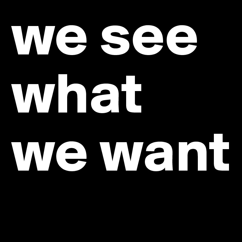 we see what we want