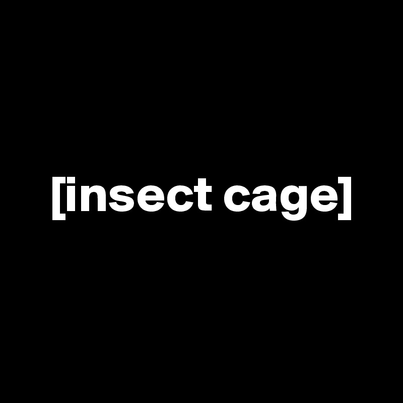 


   [insect cage]


