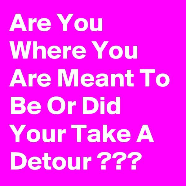 Are You Where You Are Meant To Be Or Did Your Take A Detour ???