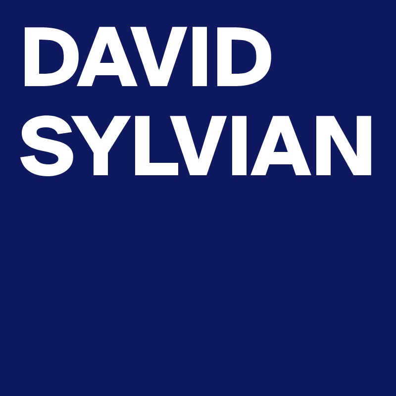 DAVID
SYLVIAN
