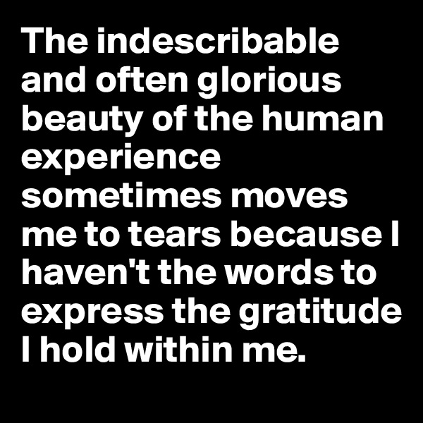 The indescribable and often glorious beauty of the human experience sometimes moves me to tears because I haven't the words to express the gratitude I hold within me.