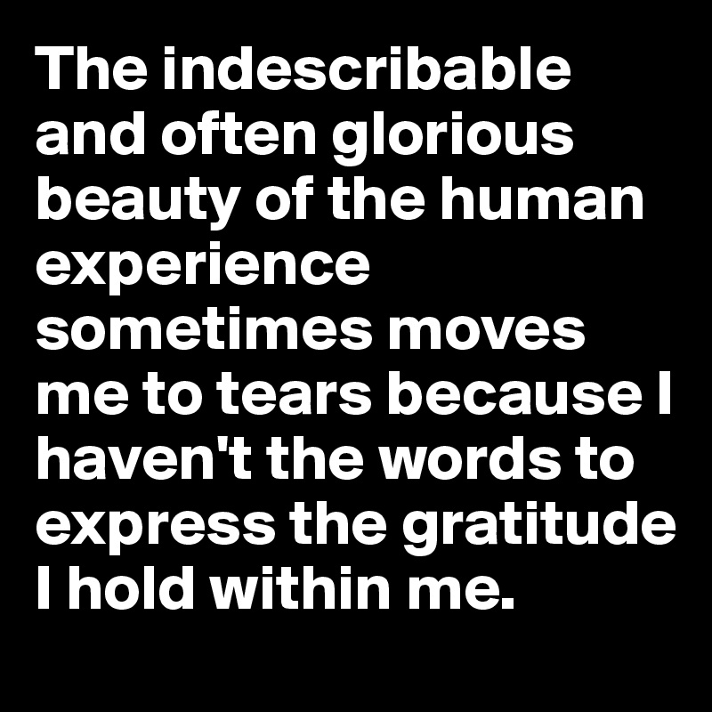 The indescribable and often glorious beauty of the human experience sometimes moves me to tears because I haven't the words to express the gratitude I hold within me.