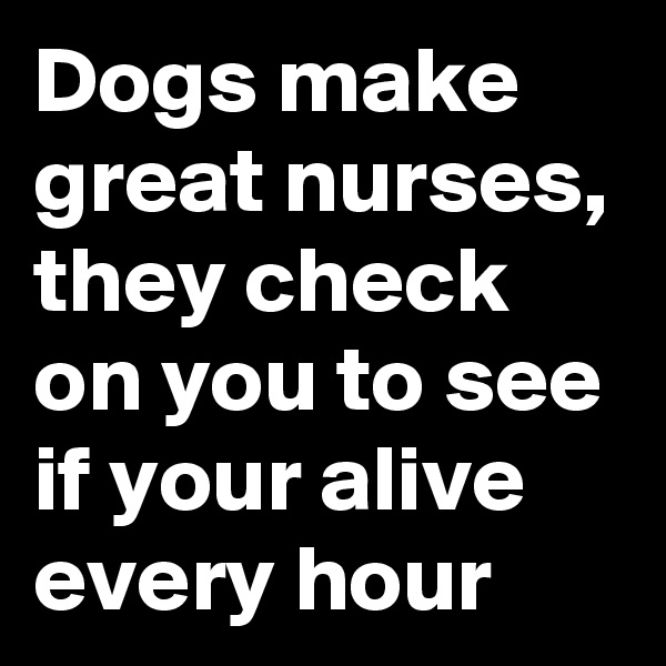 Dogs make great nurses, they check on you to see if your alive every hour