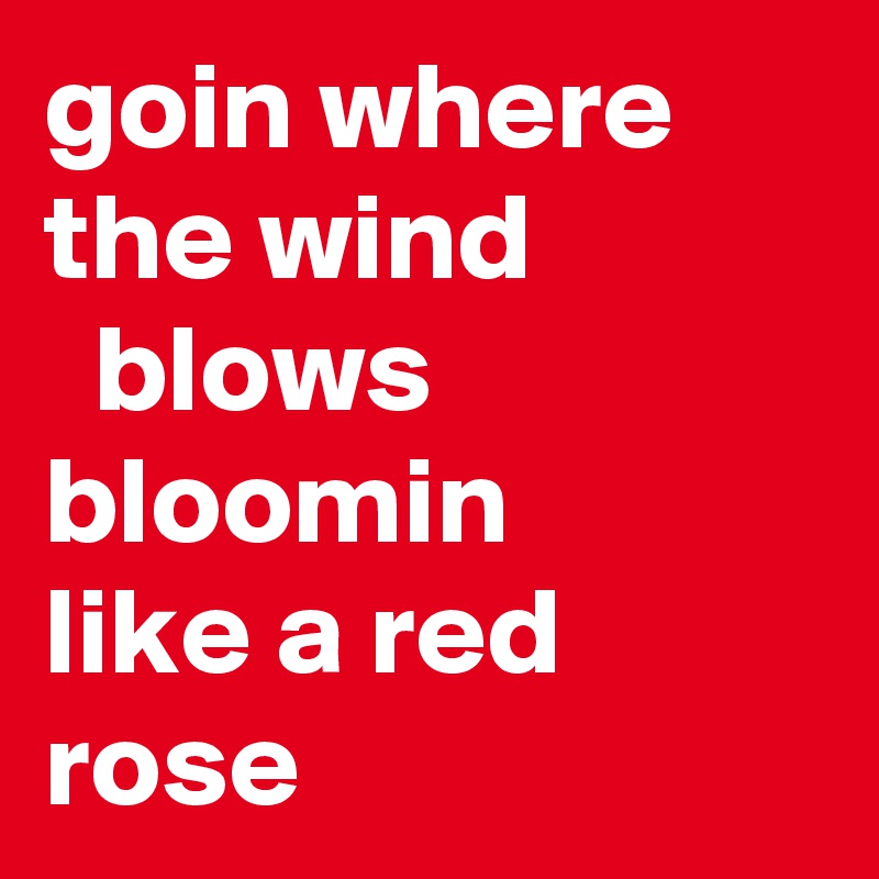 goin where the wind
  blows
bloomin
like a red rose
