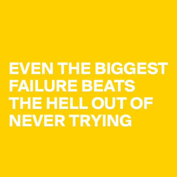 


EVEN THE BIGGEST FAILURE BEATS THE HELL OUT OF NEVER TRYING

